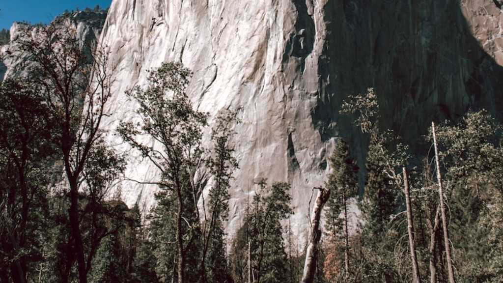 Jakie zajęcia możesz wykonywać w Parku Narodowym Yosemite